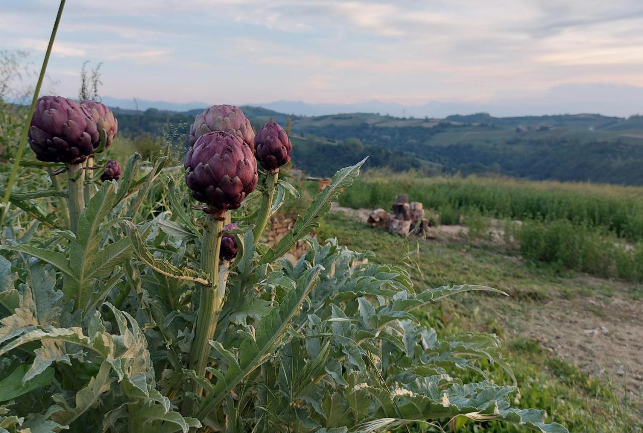 Cascina Nomade - Wine & Scenic Retreat Apartment Dogliani Bagian luar foto