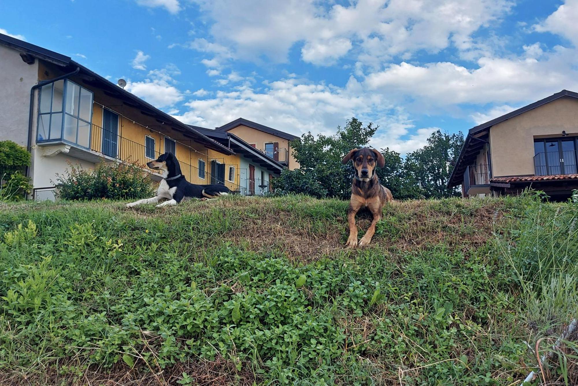 Cascina Nomade - Wine & Scenic Retreat Apartment Dogliani Bagian luar foto