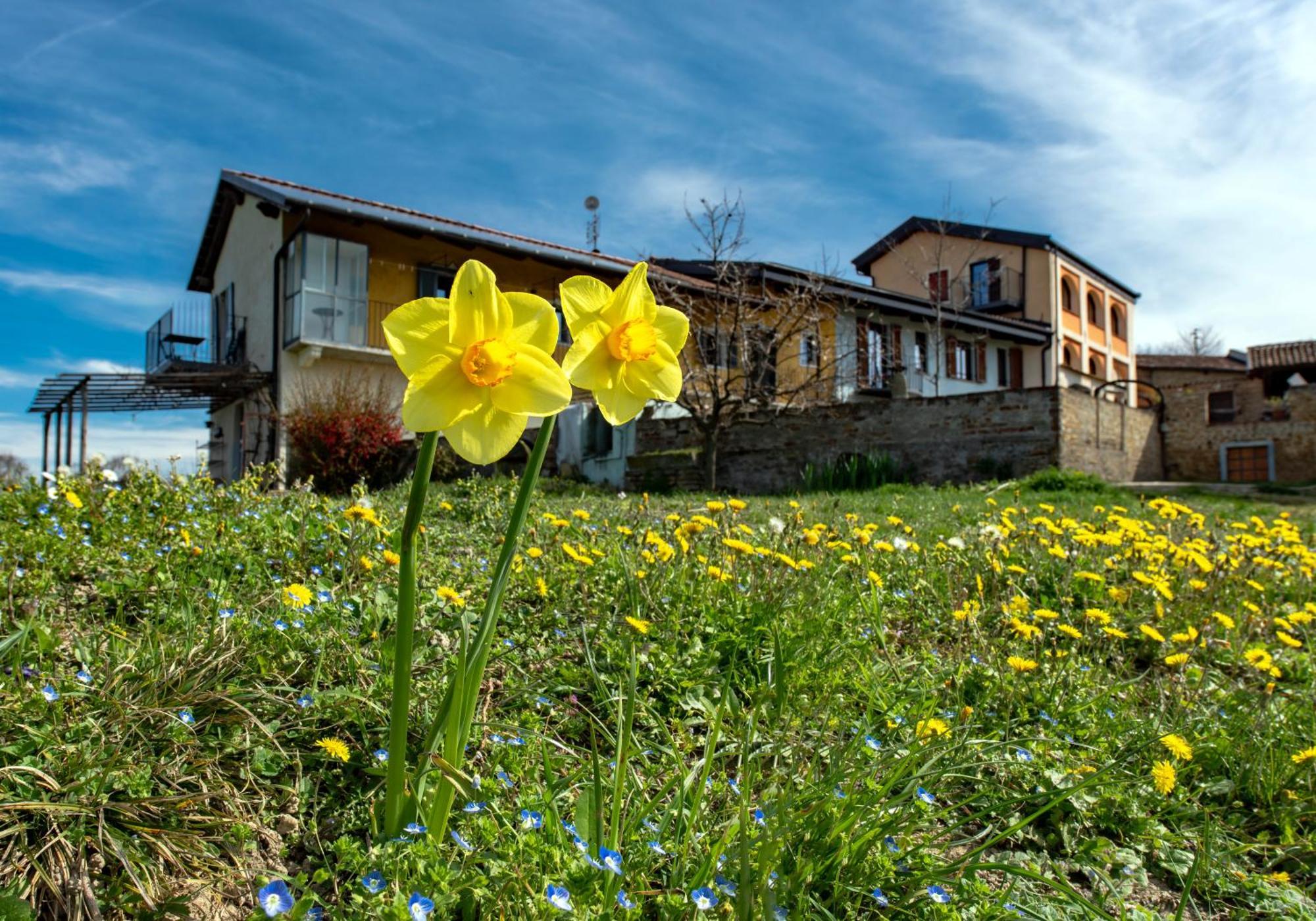 Cascina Nomade - Wine & Scenic Retreat Apartment Dogliani Bagian luar foto
